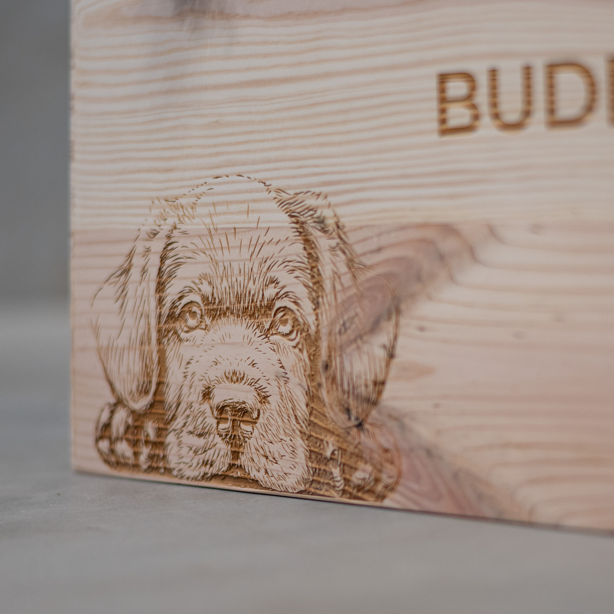 Spielzeugkiste aus Holz für Hunde, personalisiert
